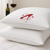 Kit Protetor de Travesseiro Prática 2 Pç